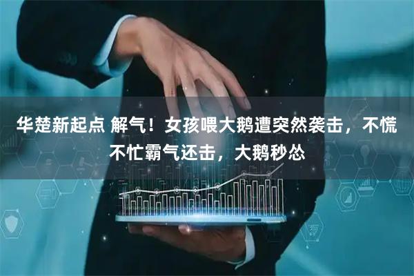 华楚新起点 解气！女孩喂大鹅遭突然袭击，不慌不忙霸气还击，大鹅秒怂