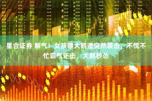 星合证券 解气！女孩喂大鹅遭突然袭击，不慌不忙霸气还击，大鹅秒怂